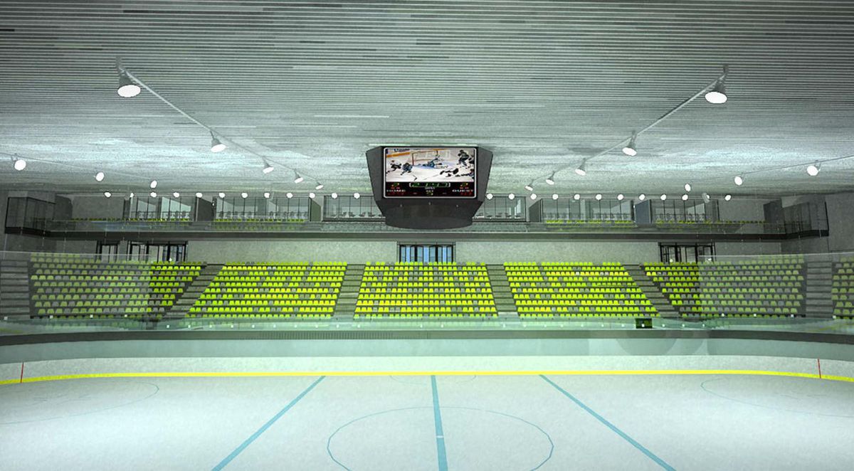 Așa ar urma să arate patinoarul Flamaropol