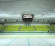 Așa ar urma să arate patinoarul Flamaropol