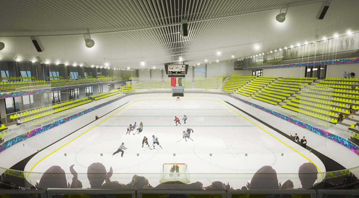 Așa ar urma să arate patinoarul Flamaropol