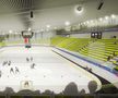 Așa ar urma să arate patinoarul Flamaropol