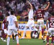 Rapid - FCSB, derby pe Arena Națională, foto: Raed Krishan/GSP