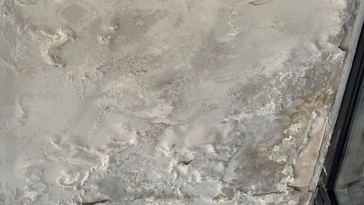 Condiții deplorabile pe Arena Națională înainte de Dinamo - UTA