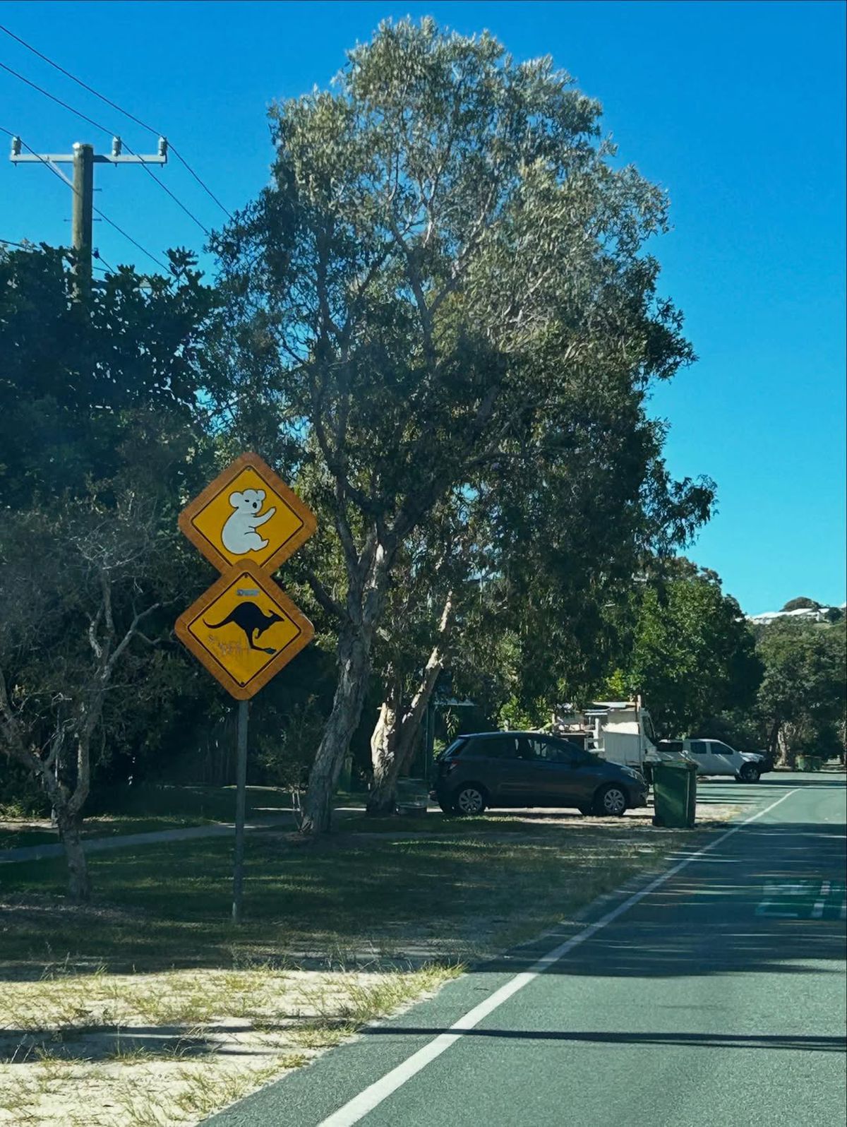 Nandor Kuti, fundașul naționalei de baschet, experiență unică pe coasta de est a Australiei