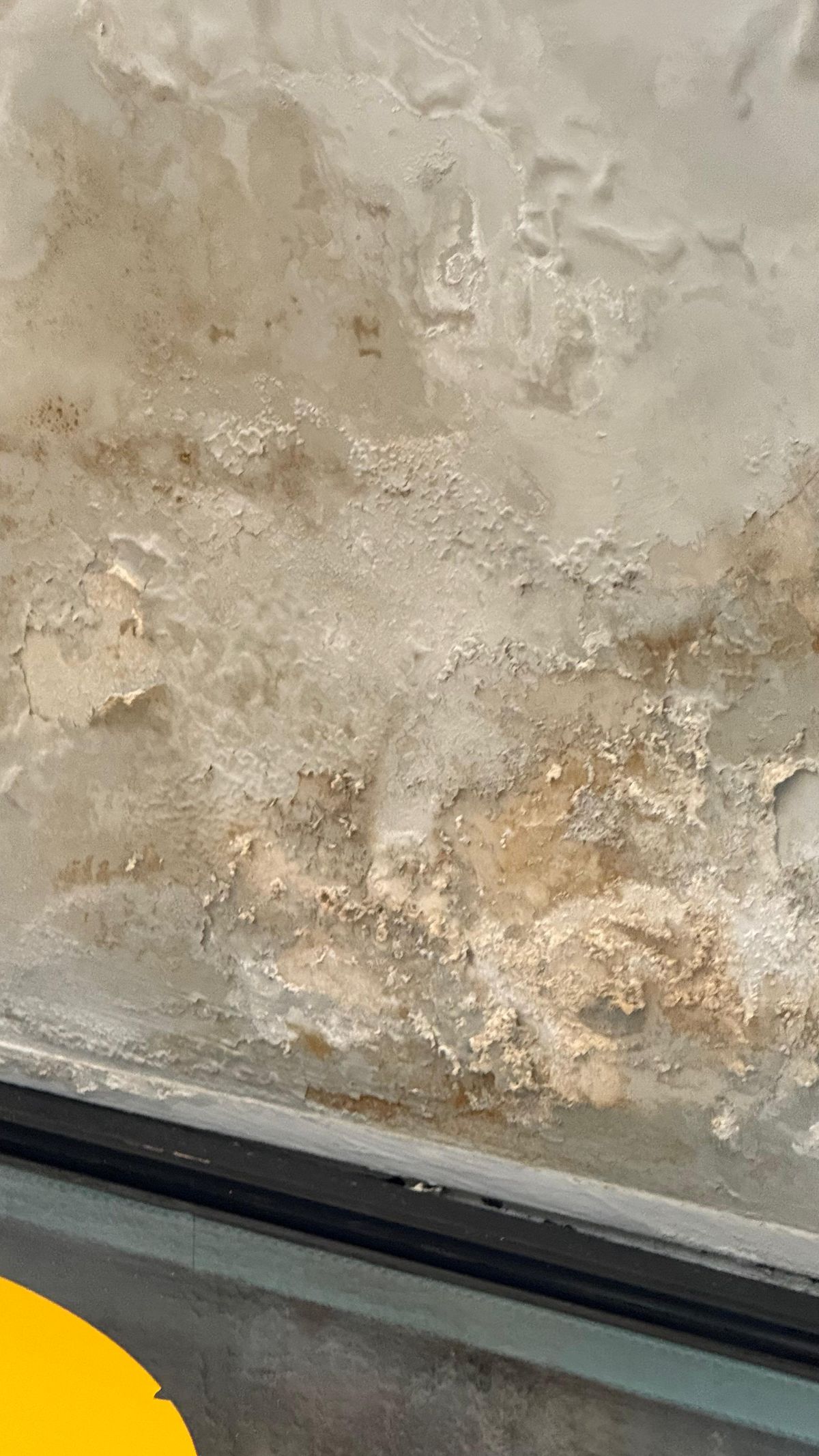 Condiții deplorabile pe Arena Națională înainte de Dinamo - UTA