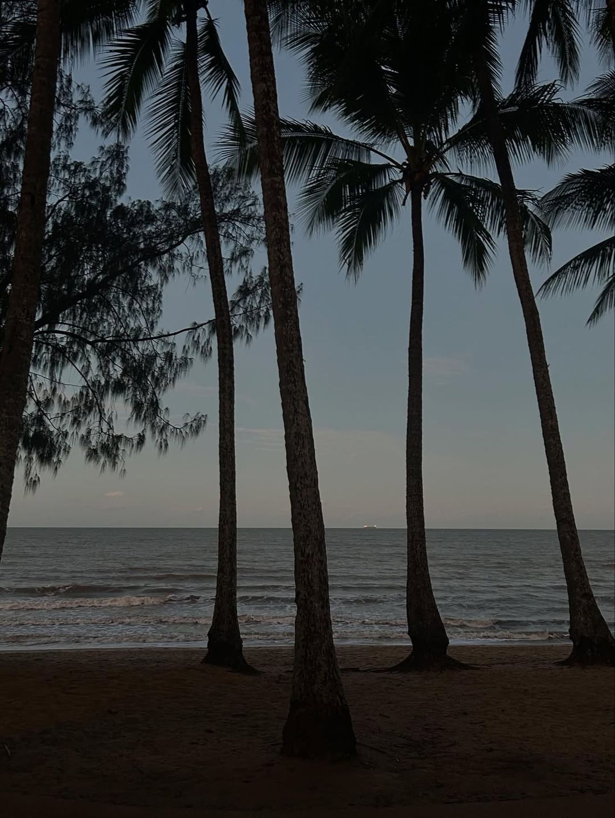 Fundașul naționalei și al lui Dinamo București a petrecut vara în sălbăticia Australiei, printre canguri și koala: „Altă lume. Ceva incredibil”