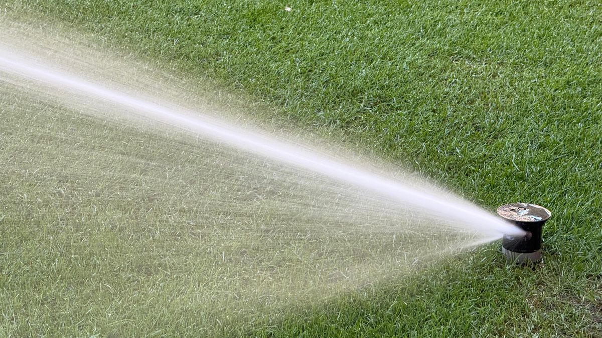 Imagini de la Arena Națională înainte de Dinamo - UTA Arad