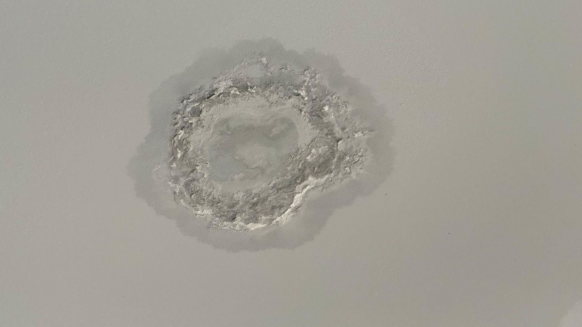 Condiții deplorabile pe Arena Națională înainte de Dinamo - UTA