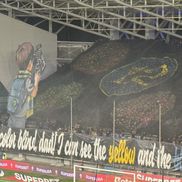 Scenografii spectaculoase la meciul Petrolul - Dinamo, din Superligă. Foto: Andrei Crăițoiu (GSP.RO)