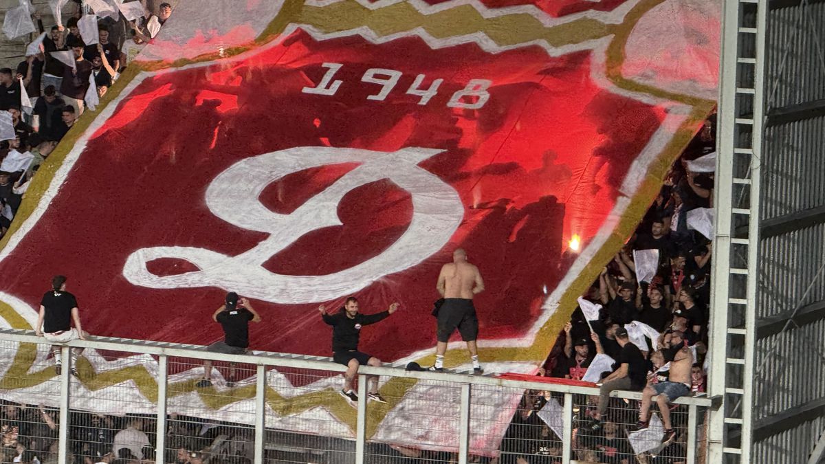 Scenografii FABULOASE la Petrolul - Dinamo! Reverență pentru trei boxeri uriași ai Ploieștiului + torțe și fumigene în peluza „câinilor”