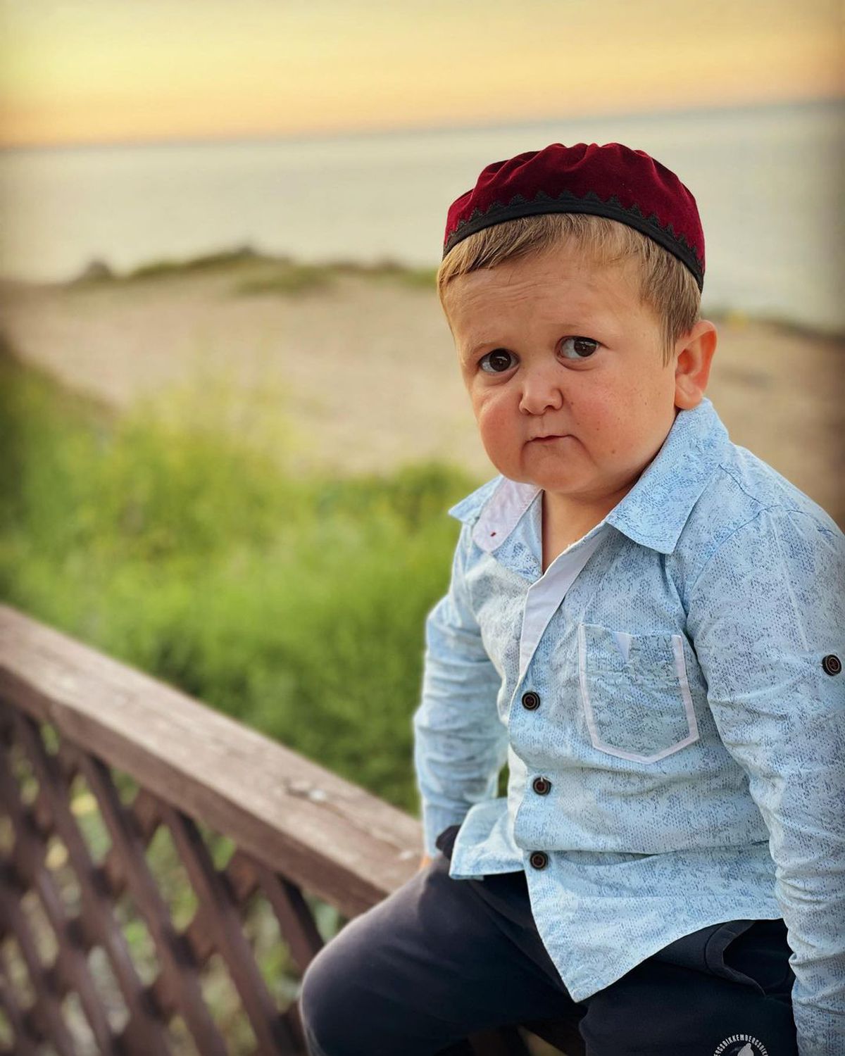 Povestea lui Hasbulla Magomedov