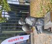 Statuia lui James Naismith, din Kaunas