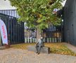 Statuia lui James Naismith, din Kaunas