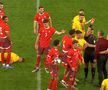 A scăpat ieftin! A venit pedeapsa de la UEFA în cazul lui Daniel Pancu, eliminat după criza de nervi din preliminarii
