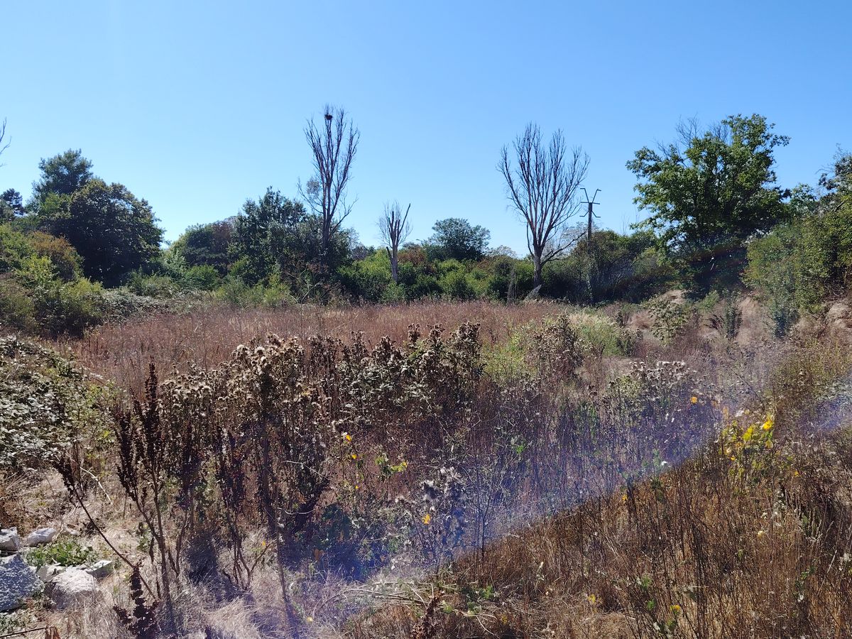 Complexul Sportiv Badea Cârțan, aflat într-o zonă în plină dezvoltare a României, e o ruină » Ochit de magnații imobiliari: „Fără vestiare și apă curentă”