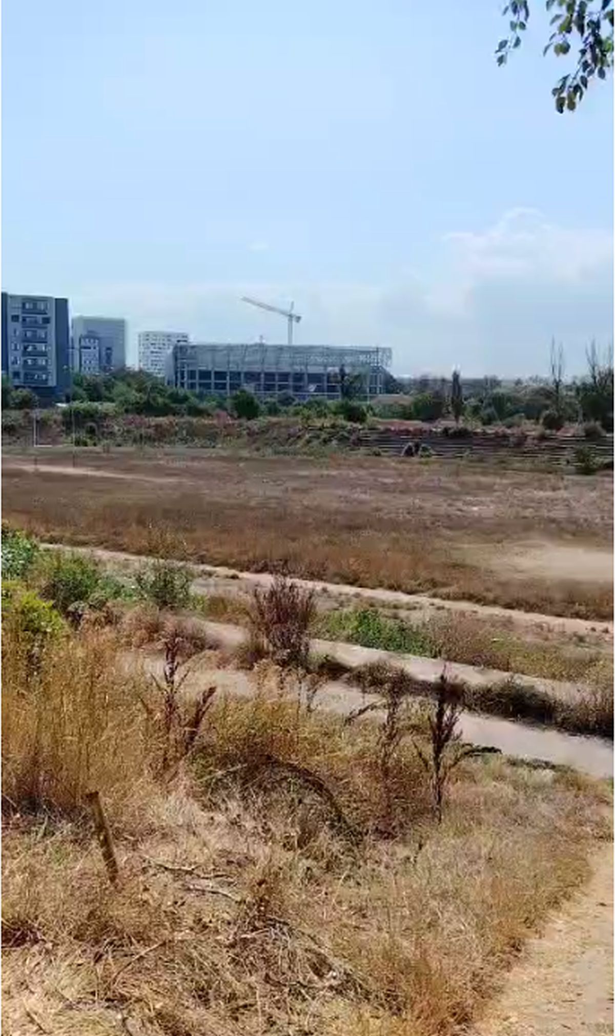 Complexul Sportiv Badea Cârțan, aflat într-o zonă în plină dezvoltare a României, e o ruină » Ochit de magnații imobiliari: „Fără vestiare și apă curentă”