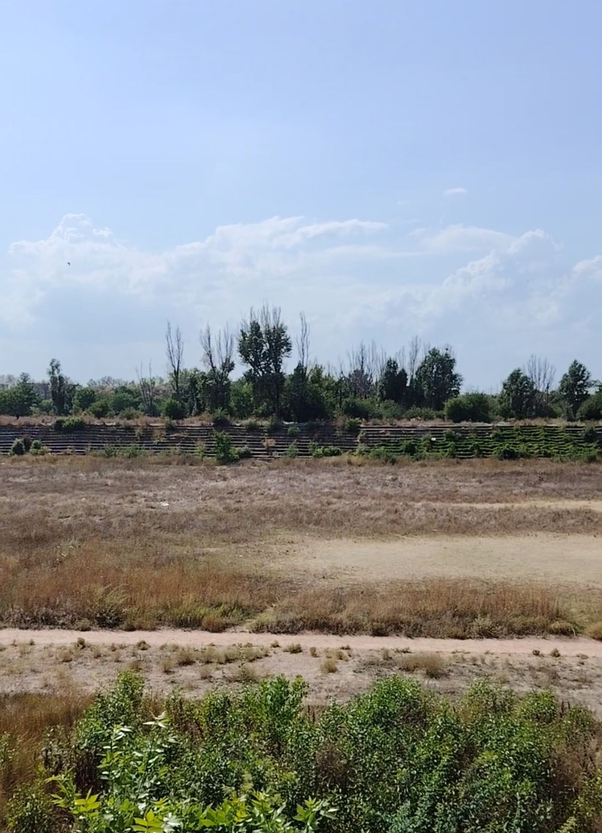 Complexul Sportiv Badea Cârțan, aflat într-o zonă în plină dezvoltare a României, e o ruină » Ochit de magnații imobiliari: „Fără vestiare și apă curentă”