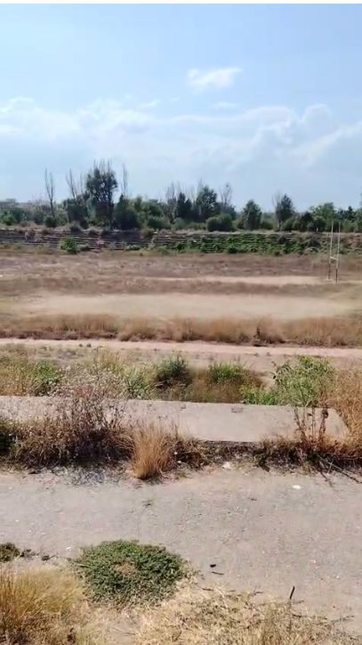 Complexul Sportiv Badea Cârțan, aflat într-o zonă în plină dezvoltare a României, e o ruină » Ochit de magnații imobiliari: „Fără vestiare și apă curentă”