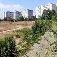 Complexul Sportiv Badea Cârțan din Constanța / FOTO: Ionuț Coman (GSP.ro)