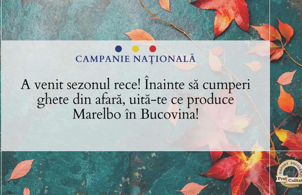 A venit sezonul rece! Înainte să cumperi ghete din afară, uită-te ce produce Marelbo în Bucovina!