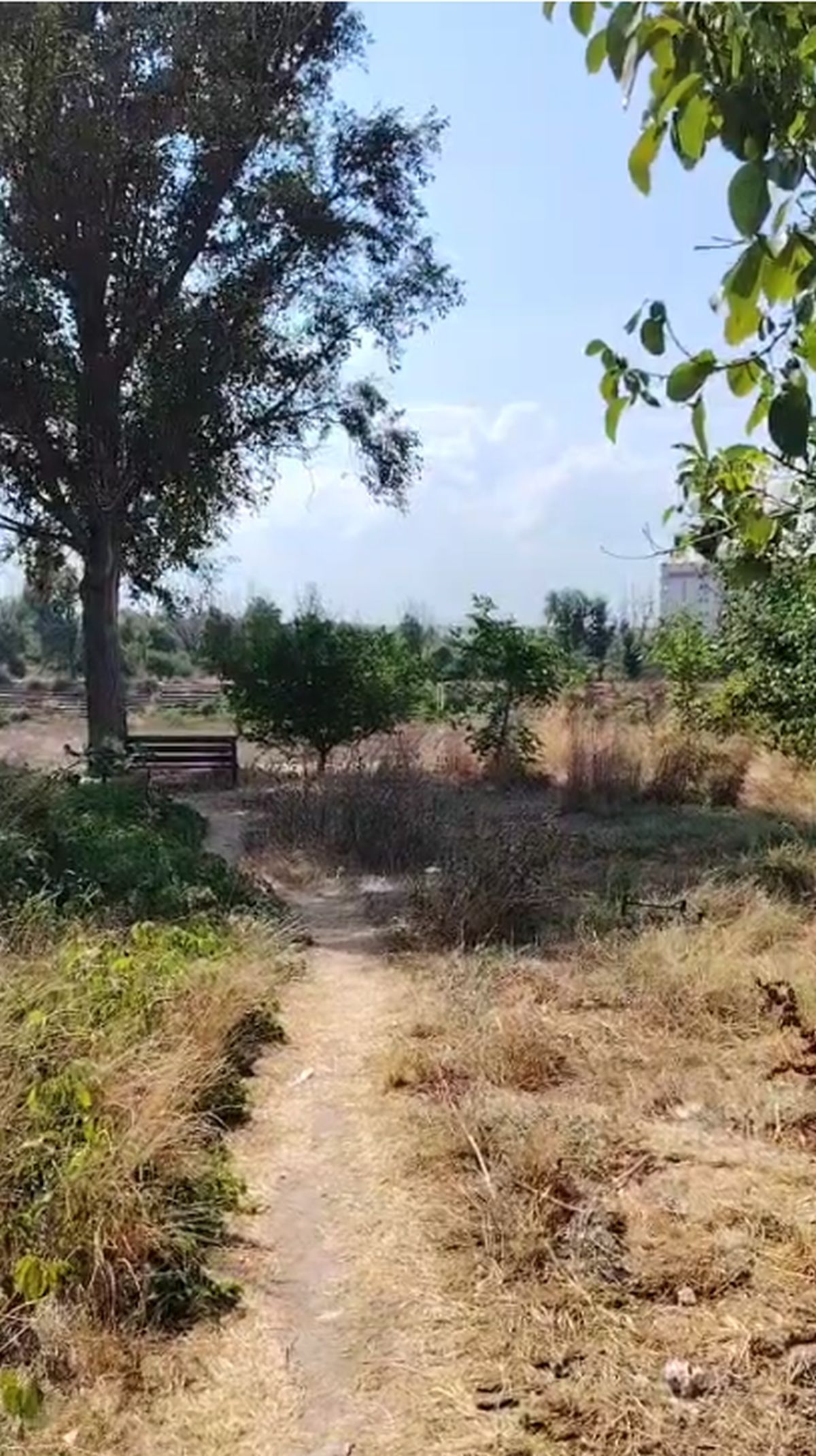 Complexul Sportiv Badea Cârțan, aflat într-o zonă în plină dezvoltare a României, e o ruină » Ochit de magnații imobiliari: „Fără vestiare și apă curentă”