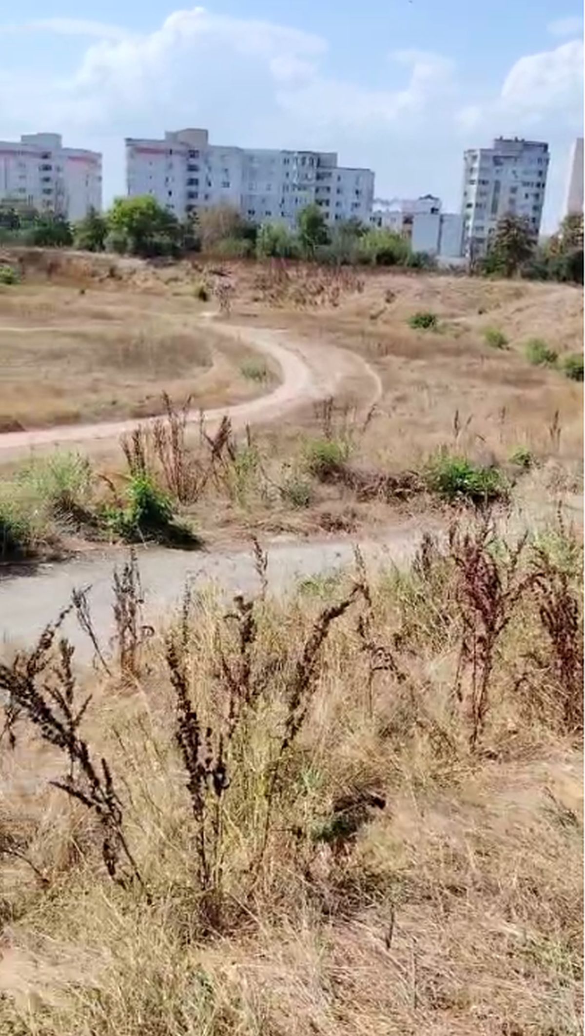 Complexul Sportiv Badea Cârțan, aflat într-o zonă în plină dezvoltare a României, e o ruină » Ochit de magnații imobiliari: „Fără vestiare și apă curentă”