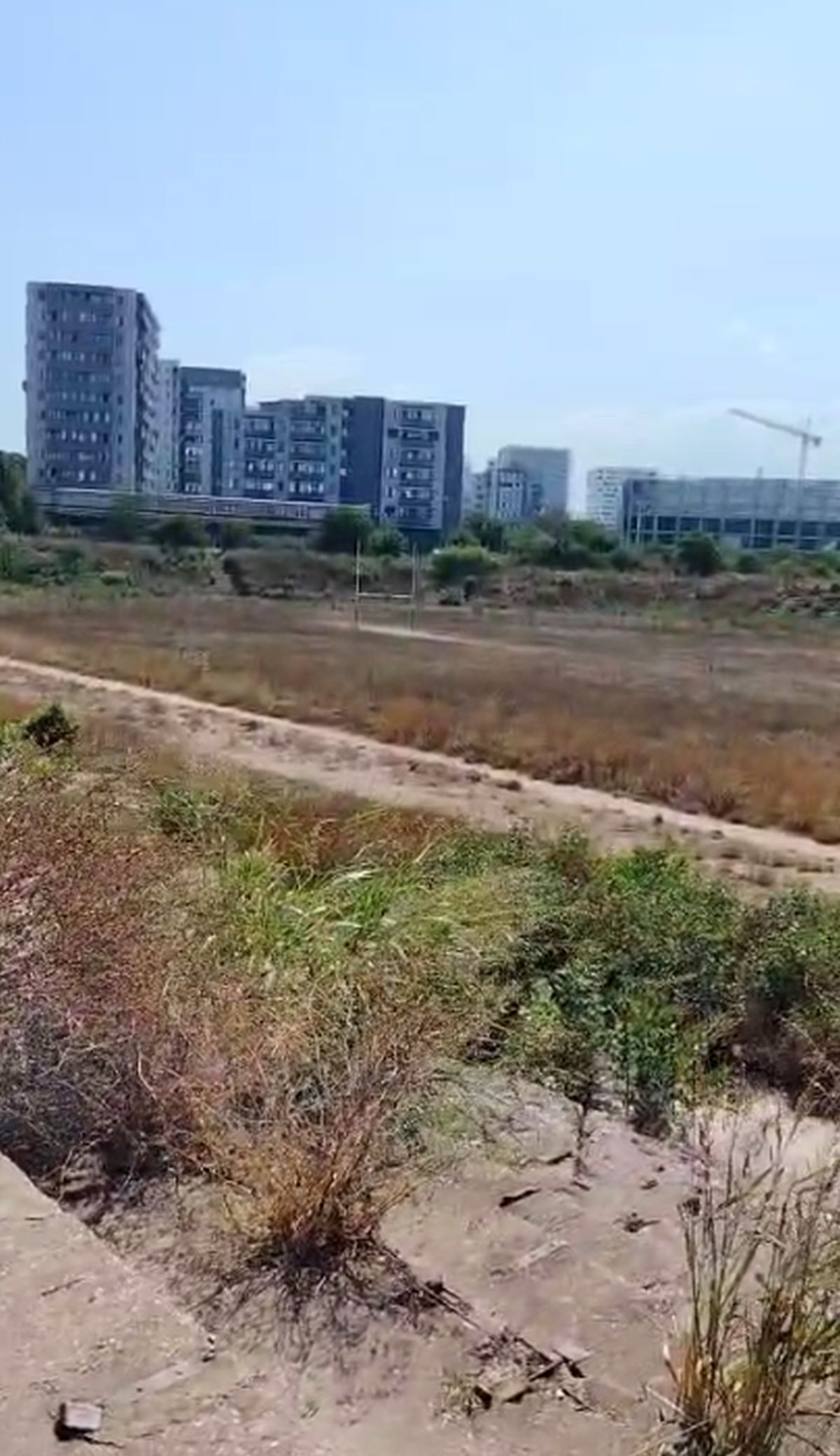 Complexul Sportiv Badea Cârțan, aflat într-o zonă în plină dezvoltare a României, e o ruină » Ochit de magnații imobiliari: „Fără vestiare și apă curentă”