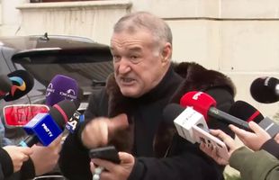 Gigi Becali a început să urle la un jurnalist: „N-ai văzut ce am scris?! Să-l țin legat, ce să-i fac?”