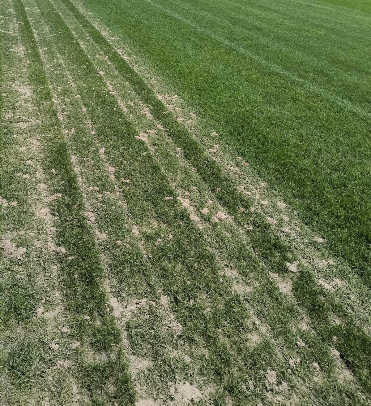 Imagini spectaculoase din casa lui Dinamo în acest final de an: „Lucrăm și noaptea!”