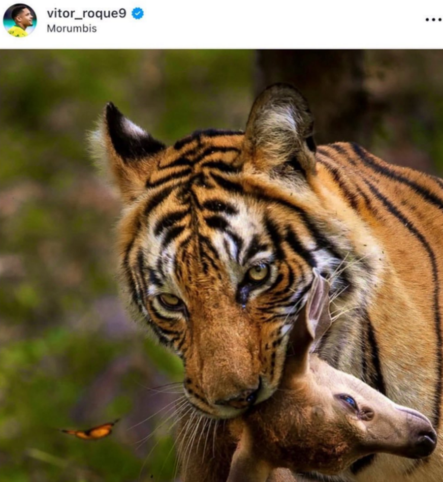 foto: postarea homofobă a lui Vitor Roque de pe Instagram / captură - X Situație incredibilă! Fostul jucător al Barcelonei poate rata finalul de sezon din cauza unei postări homofobe: „A fost doar o glumă”