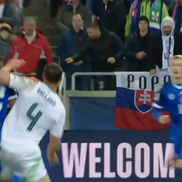 Istvan Kovacs în Slovacia - Irlanda de Nord / captură Stan Sport