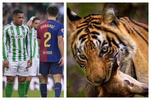 Vitor Roque și o postare controversată