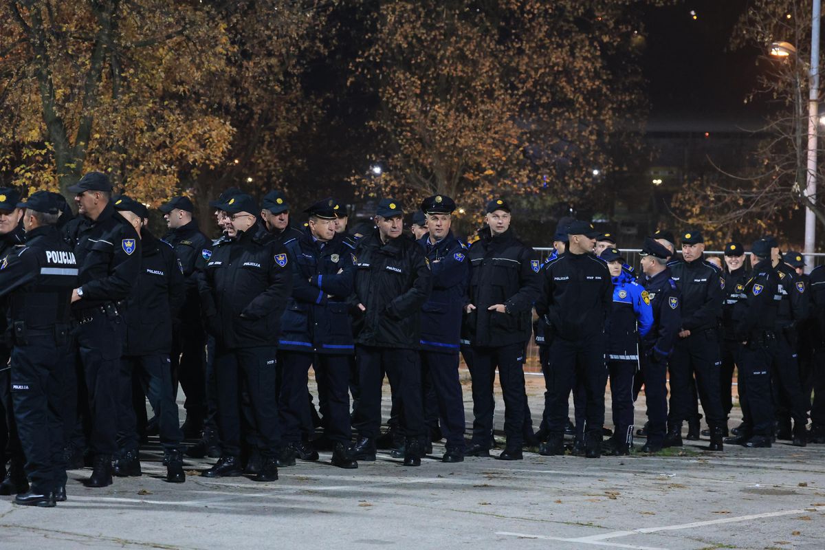 Armata și poliția, la stadion pentru Bosnia - România