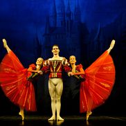 Mihail Mateescu FOTO: arhivă personală