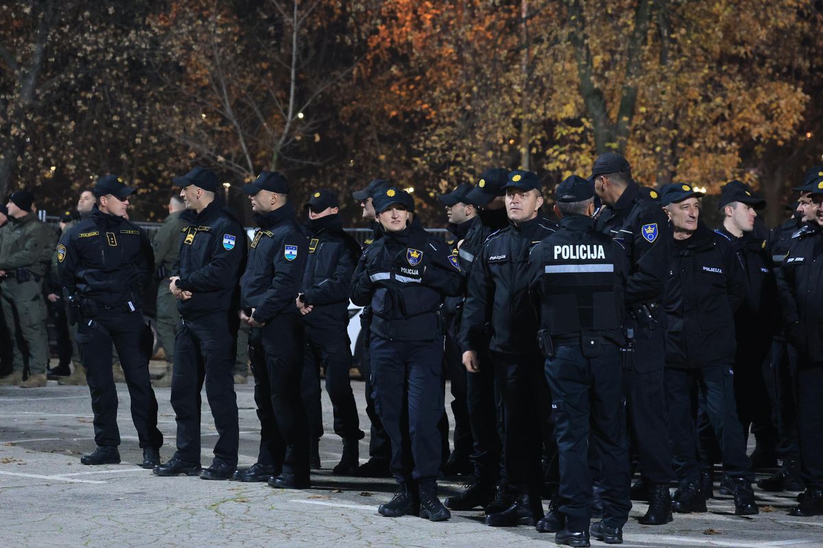Armata și poliția, la stadion pentru Bosnia - România
