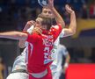 Dinamo - Veszprem / foto: Raed Krishan