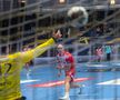 Dinamo - Veszprem / foto: Raed Krishan