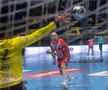 Dinamo - Veszprem / foto: Raed Krishan