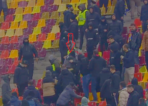 Steward lovit cu brutalitate de un ultras la Rapid - Petrolul! Jandarmii n-au intervenit