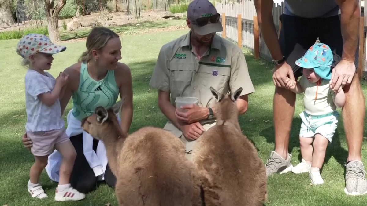 Wozniacki la zoo