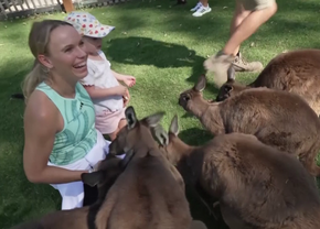 Caroline Wozniacki a hrănit cangurii la Grădina Zoologică de la Melbourne și visează să câștige Australian Open