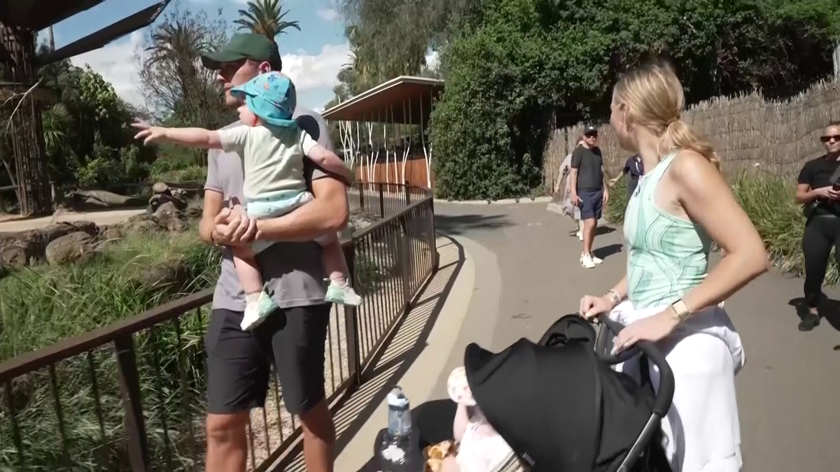 Caroline Wozniacki a hrănit cangurii la Melbourne și visează să câștige Australian Open