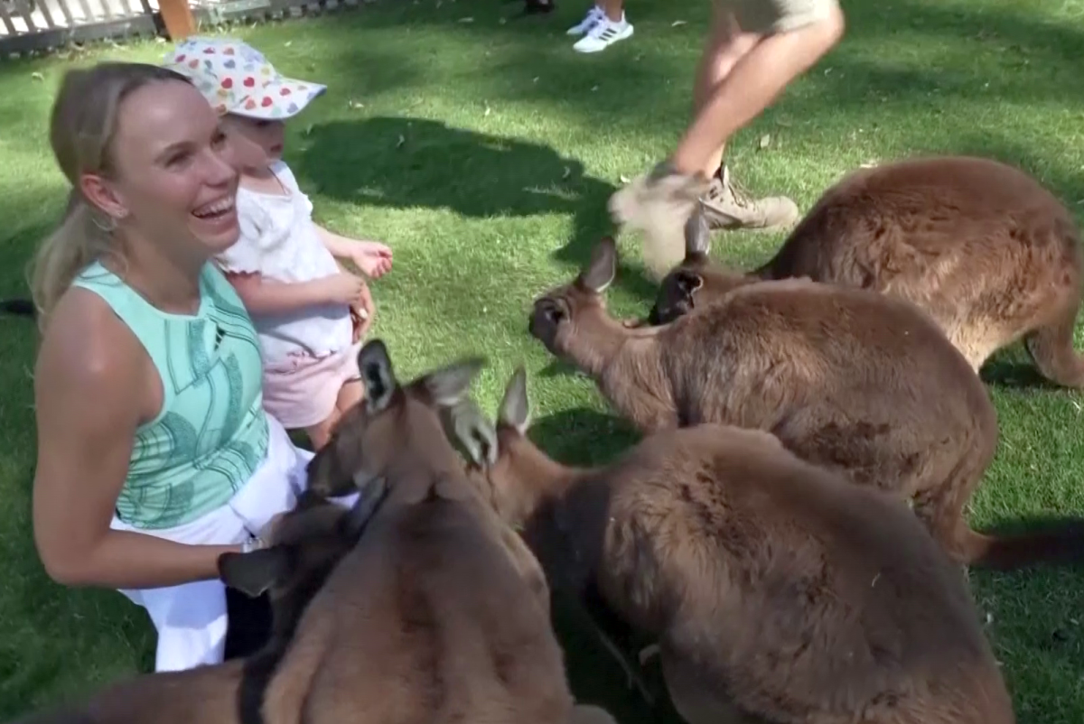 Caroline Wozniacki a hrănit cangurii la Melbourne și visează să câștige Australian Open