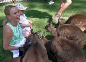Caroline Wozniacki a hrănit cangurii la Melbourne și visează să câștige Australian Open