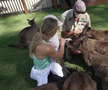 Wozniacki la zoo