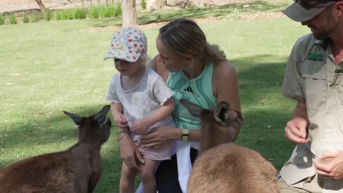 Caroline Wozniacki a hrănit cangurii la Melbourne și visează să câștige Australian Open
