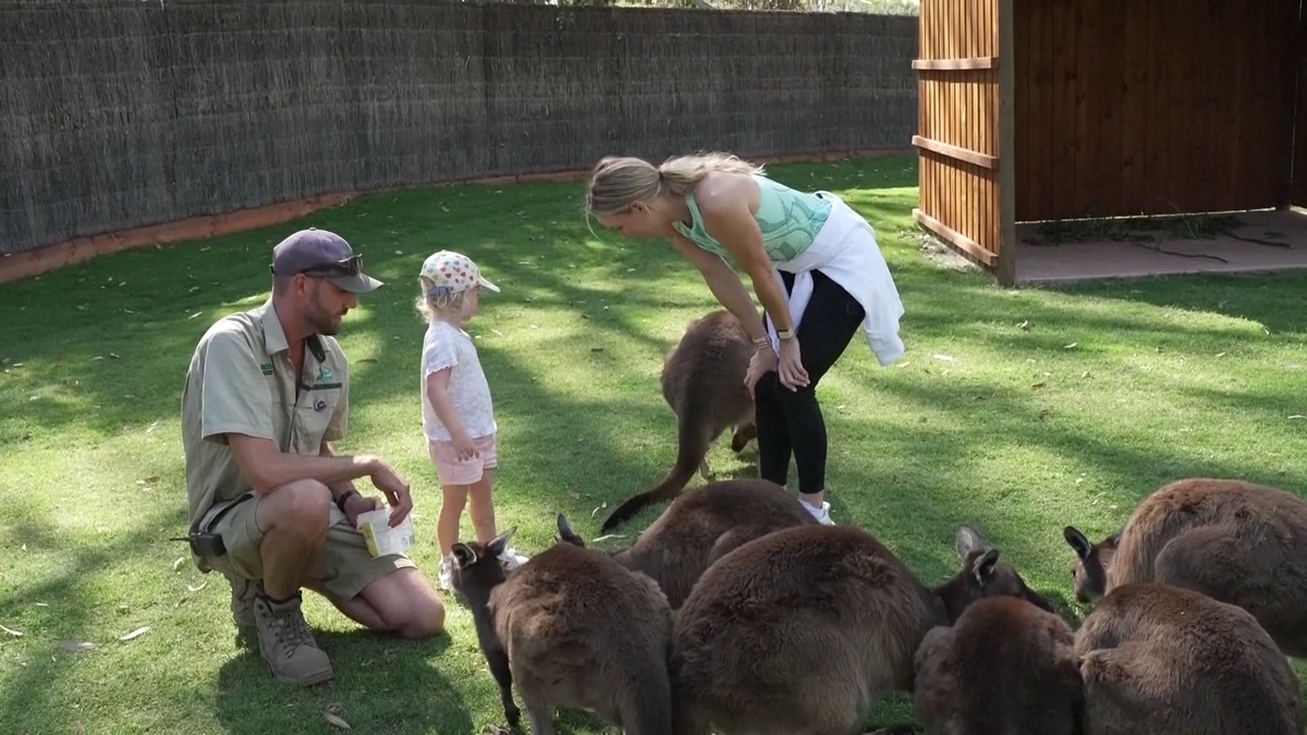 Wozniacki la zoo