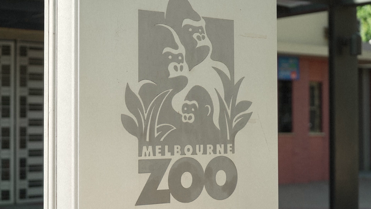 Wozniacki la zoo