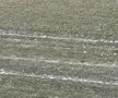 Cum se prezintă gazonul înainte de FC Argeș - FCSB