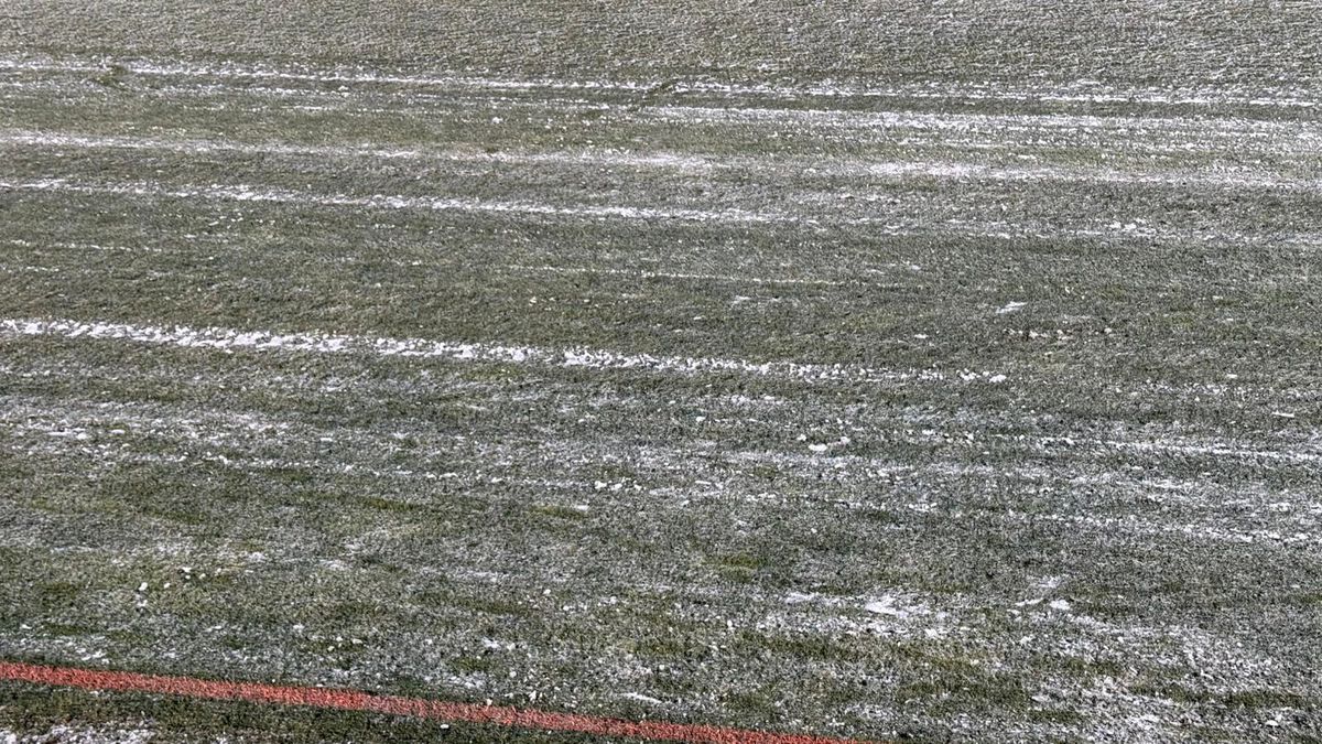 Cum se prezintă gazonul înainte de FC Argeș - FCSB