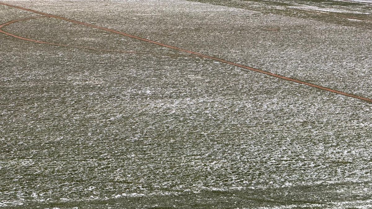 Cum se prezintă gazonul înainte de FC Argeș - FCSB